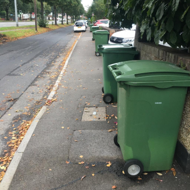 Green bins